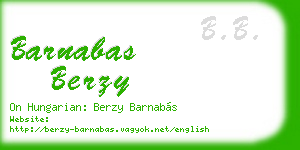 barnabas berzy business card